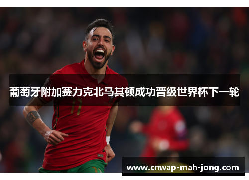 葡萄牙附加赛力克北马其顿成功晋级世界杯下一轮